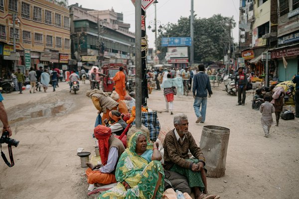 Assurance animaux 2025 : des solutions adaptées à vos besoins