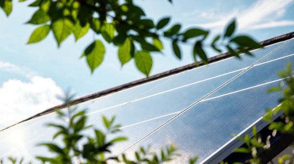 Top conseils pour choisir votre panneau solaire photovoltaïque